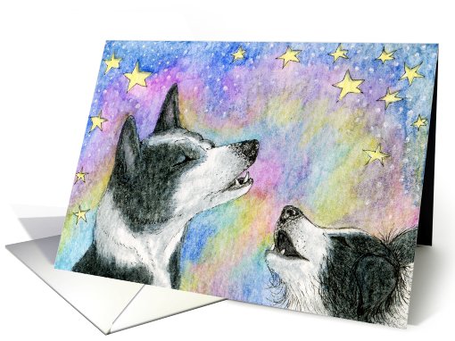 blank card, border collie, dog, card (574257)