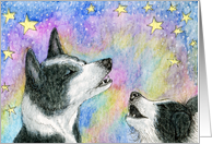 blank card, border collie, dog, card