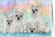 blank card, westie, west highland terrier, dog, card