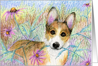 blank card, corgi, dog, card