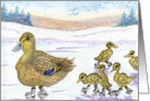 blank card, duck, ducklings, card