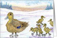 blank card, duck, ducklings, card