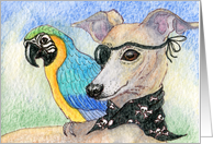 blank card, whippet, parrot, card