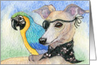 blank card, whippet, parrot, card