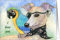 blank card, whippet, parrot, I love you card