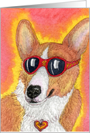 blank card, corgi, dog, cool, card