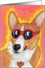 blank card, corgi, dog, cool, card