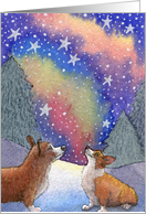 blank card, corgi, dog, stars, card
