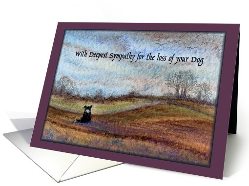 loss of dog, sympathy, dog watching sky, plum border card (634717)