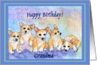 happy birthday grandma, corgi puppies, blue border card