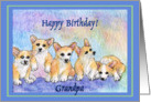 happy birthday grandpa, corgi puppies, blue border card