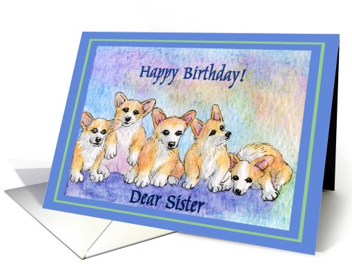 happy birthday sister, corgi puppies, blue border card (638253)