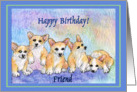 happy birthday friend, corgi puppies, blue border card