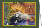 merry christmas from all of us, border collie dog, sheep, fire, green border, card