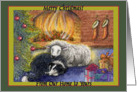merry christmas from our home to yours, border collie dog, sheep, fire, green border, card