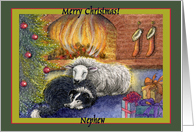 merry christmas nephew, border collie dog, sheep, fire, green border, card