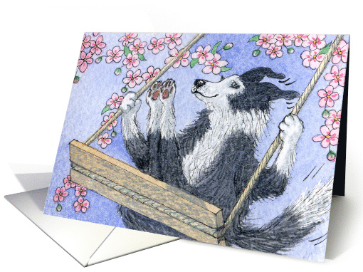 blank card, border collie dog, blossom, card (652092)