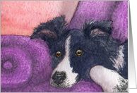 blank card, border collie, chair, card