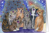 blank card, cats, singing, card