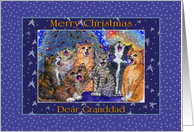 A Choir of Cats sing ’Merry Christmas’ for their Dear Granddad card