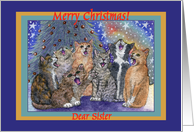 merry christmas sister, cats, singing, card