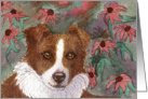 border collie dog, blank card, card