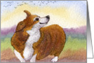 corgi dog, blank card, card