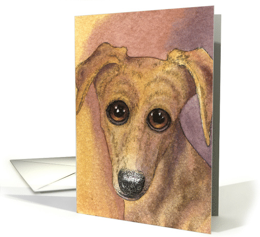 whippet dog, blank card, card (670727)