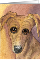 whippet dog, blank card, card