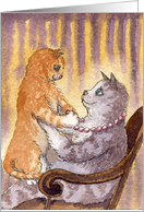 cat, kitten, blank card, card