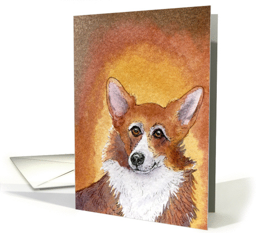 corgi, dog, blank card, card (671877)