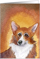 corgi, dog, blank card, card
