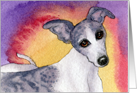whippet, dog, blank card, card