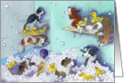 puppies in bubble bath, blank card