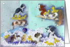 HappyB irthday, puppies, bubble bath card