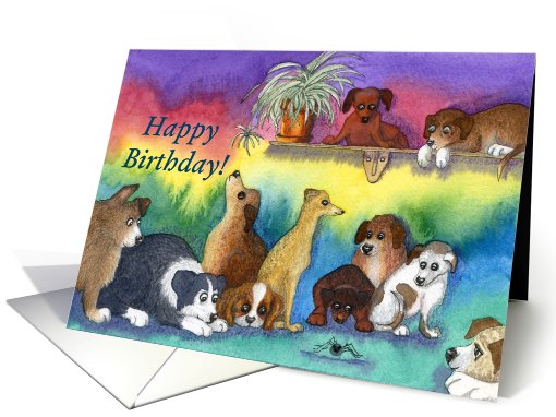 puppies, spider, happy birthday, card (675163)
