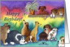 puppies, spider, happy birthday, card