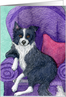 border collie, blank card