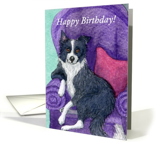 happy Birthday, border collie card (675167)