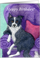 happy Birthday, border collie card