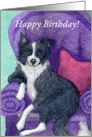 happy Birthday, border collie card