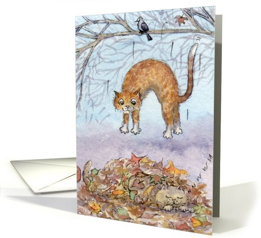 cat, blank card, dropping in, card (700871)