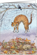 cat, blank card, dropping in, card