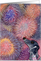 dog fireworks blank note card