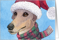 greyhound, blank card, christmas, hat and scarf, card