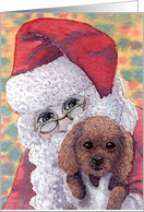 poodle, blank card, father christmas, dog, card