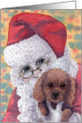 poodle, blank card, father christmas, dog, card