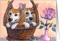 corgi, blank card, dog, basket, card