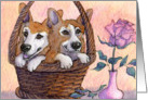 corgi, blank card, dog, basket, card