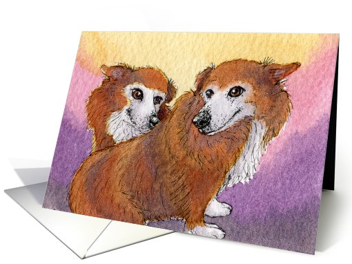 corgi, blank card, dog, card (744233)